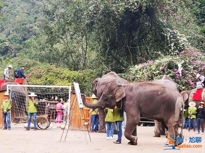 西雙版納網紅景點有哪些,西雙版納網紅景點攻略? 西雙版納網紅景點有哪些,西雙版納網紅景點攻略?