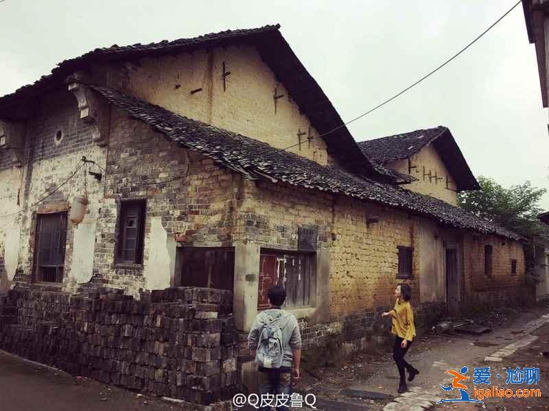 武漢自駕游去哪，周邊有什么自駕游好地方，武漢自駕游攻略？