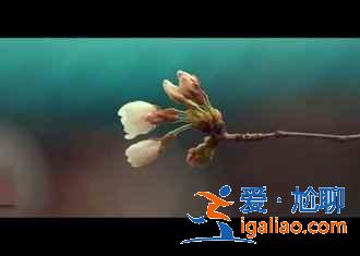 武漢自駕游去哪，周邊有什么自駕游好地方，武漢自駕游攻略？