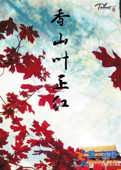 唐德影視“去流量化”調整策略低谷轉