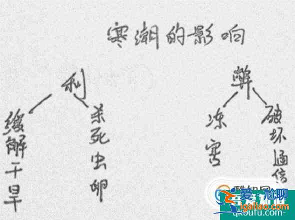 怎樣才能快速記憶書本知識？？