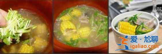 玉米排骨煲的做法？