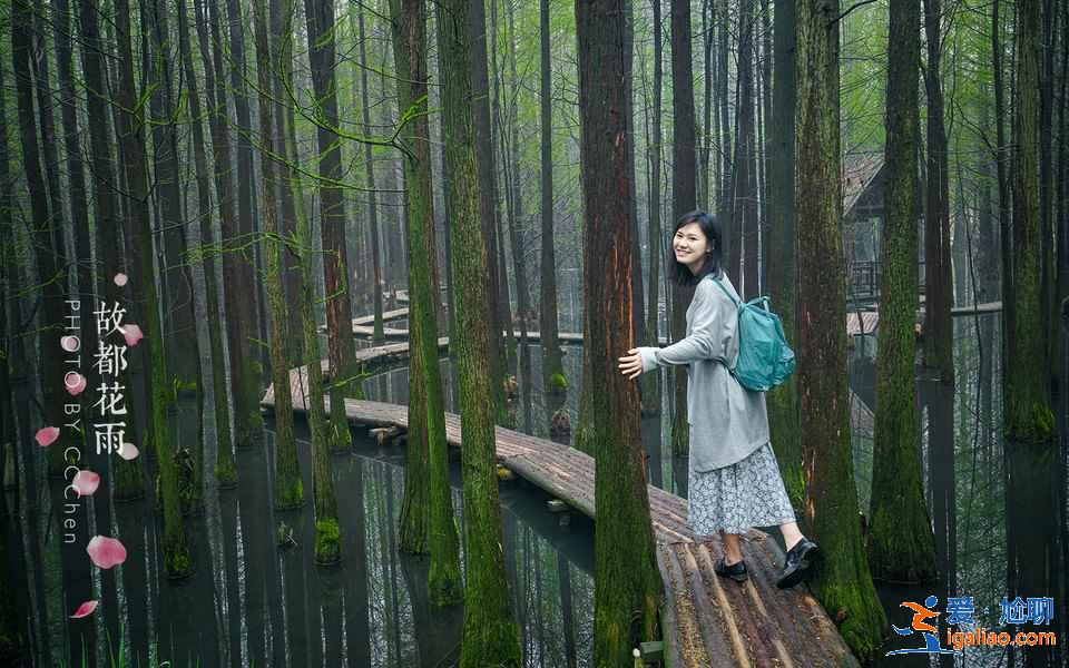 不敢相信，南京踏青居然這么美！南京清明節踏青8大好去處？