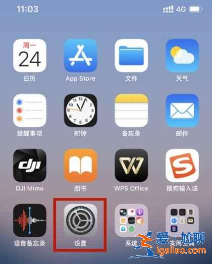 蘋果怎么設置按鍵調手機音量？