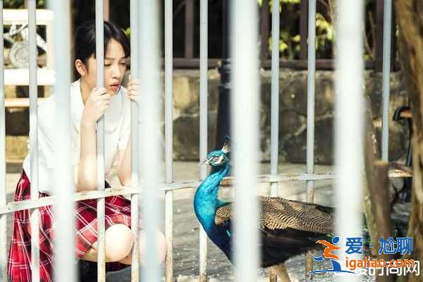 《你的孩子》女高中生吃蟲子是真的？
