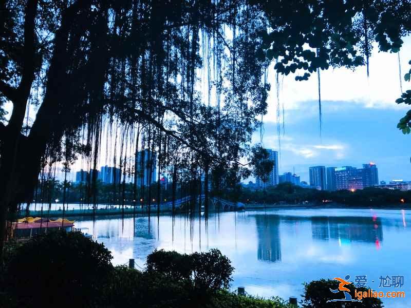 去“中國綠城”南寧,來一趟“凈肺”之旅? 去“中國綠城”南寧,來一趟“凈肺”之旅?