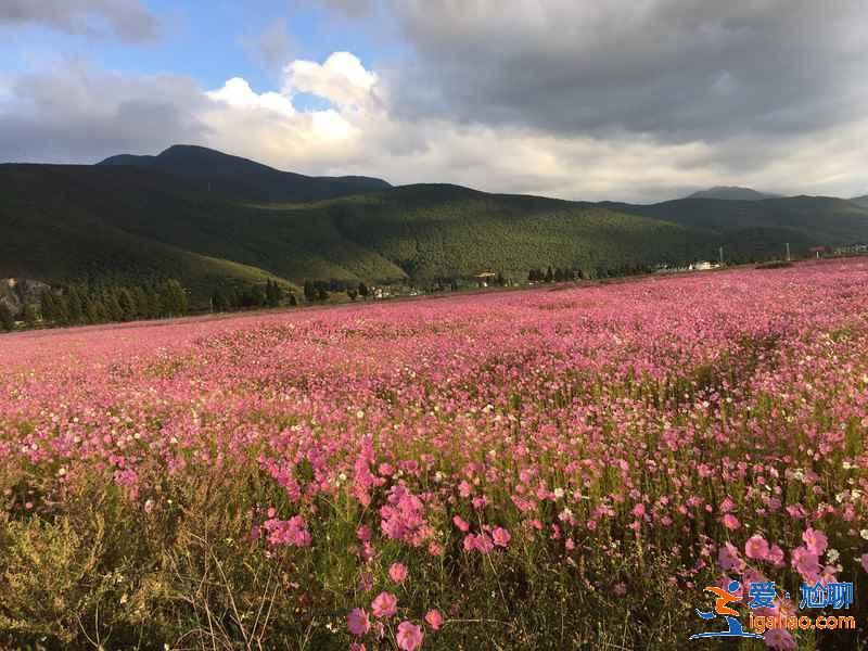 麗江有哪些小眾景點,麗江值得一去的小眾景點盤點? 麗江有哪些小眾景點,麗江值得一去的小眾景點盤點?