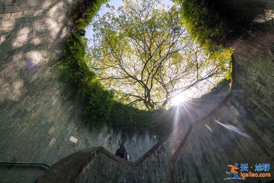 新加坡有哪些網紅建筑,新加坡值得一看的網紅建筑,新加坡必打卡的網紅建筑? 新加坡有哪些網紅建筑,新加坡值得一看的網紅建筑,新加坡必打卡的網紅建筑?