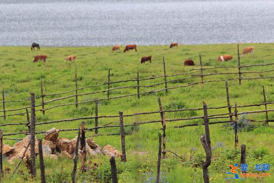 麗江有哪些小眾景點,麗江值得一去的小眾景點盤點? 麗江有哪些小眾景點,麗江值得一去的小眾景點盤點?