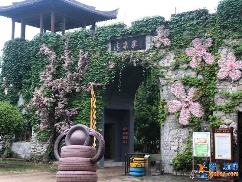 武漢春季賞花指南，武漢春季去哪兒賞花踏青，武漢適合春游的好地方？