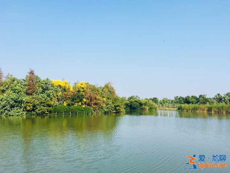 4月廣州踏青好去處，廣州4月有什么適合踏青的地方？