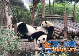 成都周邊小眾景點,成都周邊有哪些人少的地方? 成都周邊小眾景點,成都周邊有哪些人少的地方?