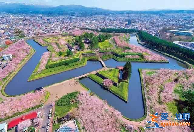 北海道櫻花多久開？北海道哪里能賞櫻？北海道賞櫻好去處推薦？