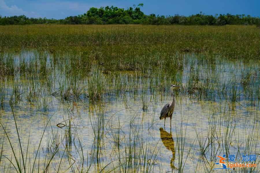 美國國家公園有哪些，美國值得一去的國家公園推薦？