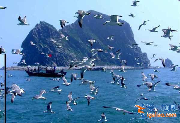 山東適合自駕游的地方，山東自駕游去哪里好玩？