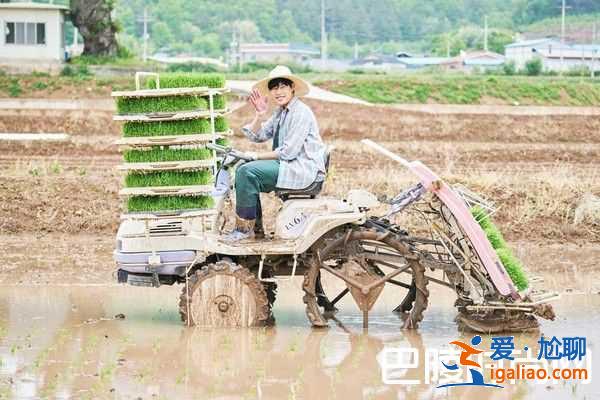 韓國(guó)翻拍《小森林》 柳俊烈金泰梨變農(nóng)夫？