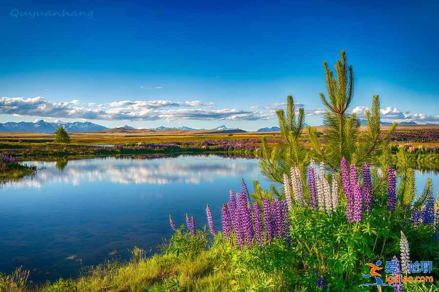 盤點(diǎn)全球最美賞花圣地,全世界最美賞花地推薦? 盤點(diǎn)全球最美賞花圣地,全世界最美賞花地推薦?