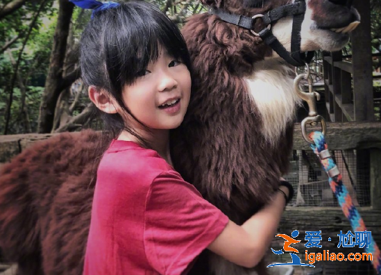 曹格辟謠老婆懷三胎，網(wǎng)友直指吳速玲炒作，故意曬照誤導(dǎo)人