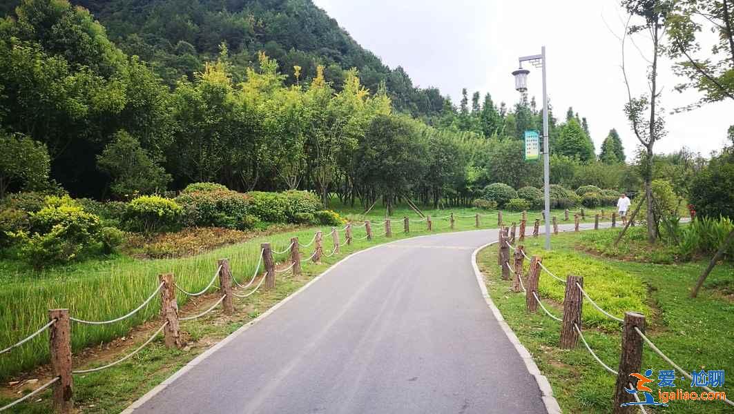 貴陽哪里可以踏青，貴陽踏青去哪里，貴陽踏青路線指南？