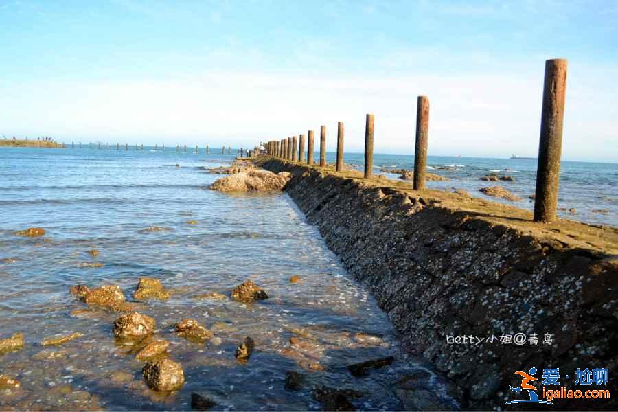 青島八大關景區怎么玩，青島八大關風景區有哪些好玩的，青島八大關風景區游玩攻略？