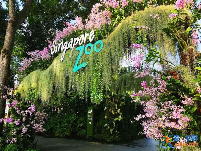 第一次去新加坡去哪玩，第一次去新加坡怎么玩，新加坡必打卡景點(diǎn)攻略？