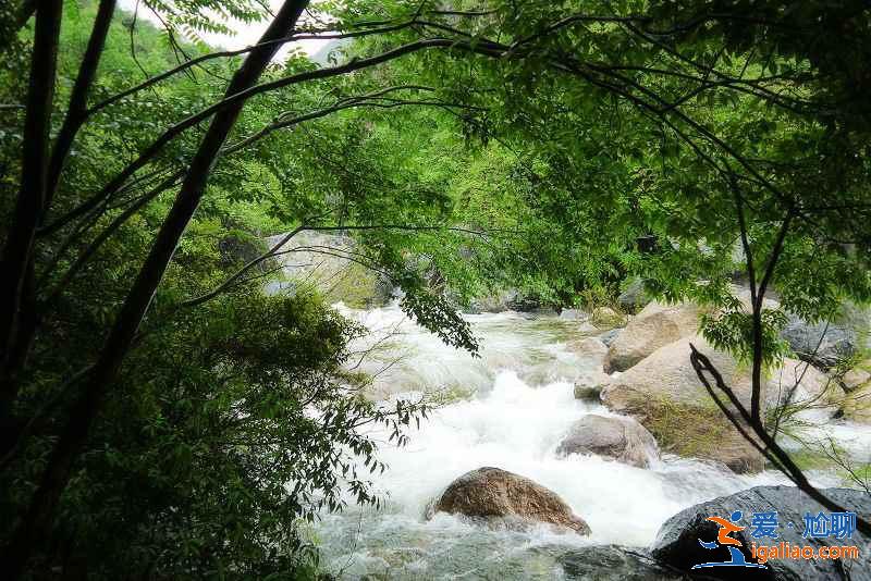 黃山周邊景點有哪些,黃山周邊值得去的景點,黃山周邊景區? 黃山周邊景點有哪些,黃山周邊值得去的景點,黃山周邊景區?