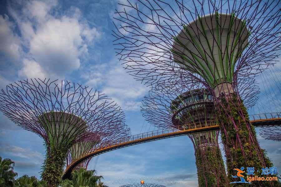第一次去新加坡去哪玩，第一次去新加坡怎么玩，新加坡必打卡景點(diǎn)攻略？