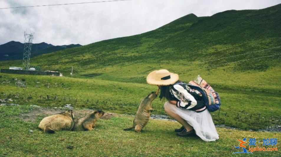 一個人適合去哪兒玩？國內適合獨自旅行的8個地方，我想去第7個，你呢？？