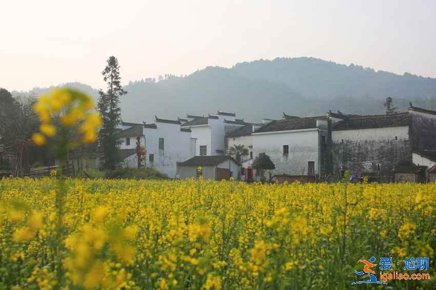 4月去婺源穿什么衣服，婺源4月當地氣溫，婺源4月游玩穿衣指南？