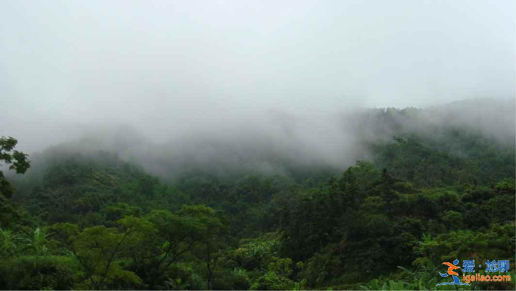 深圳去茂名怎么玩，深圳周末去茂名好玩嗎，深圳出發茂名旅游攻略？