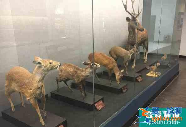 昆明動物博物館加強疫情防控 參觀需要提前預約？