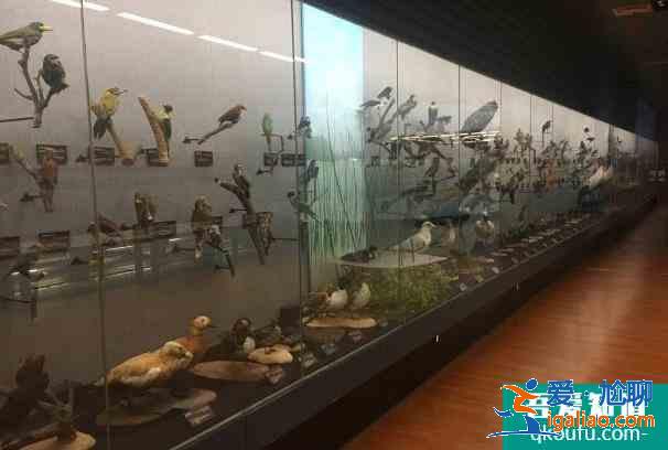 昆明動物博物館加強疫情防控 參觀需要提前預約？