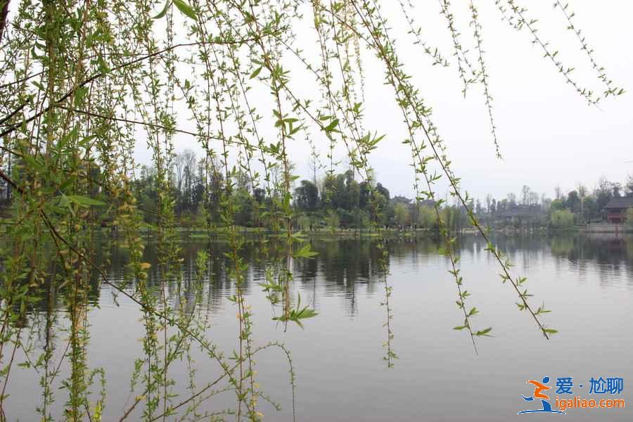 重慶周末踏青好去處，重慶周末踏青推薦，重慶周末踏青攻略？