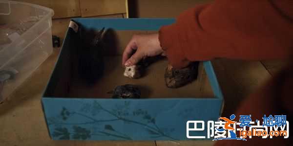 《宿怨》恐怖童星剪動(dòng)物頭顱 結(jié)局意想不到？