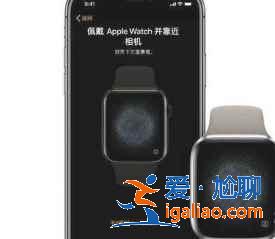 applewatch S7與手機怎么連接？