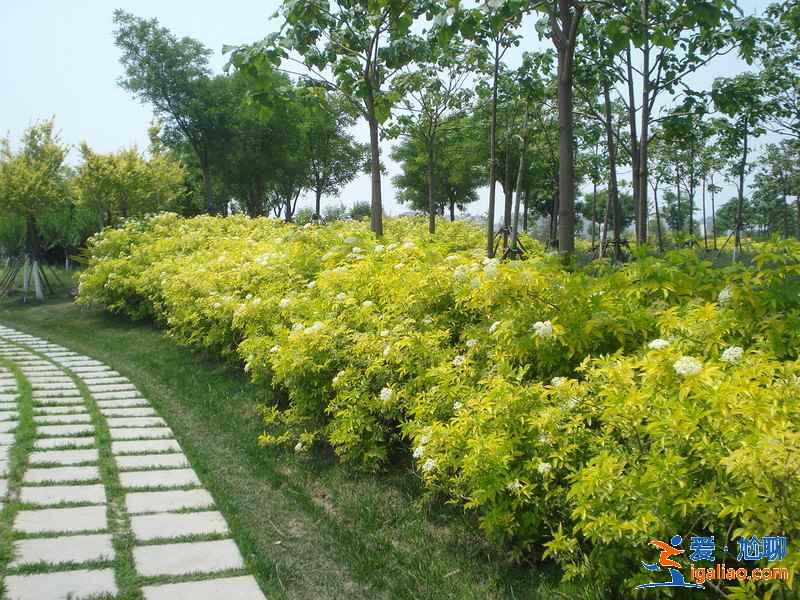 天津踏青好去處，天津踏青游玩推薦，天津踏青攻略？