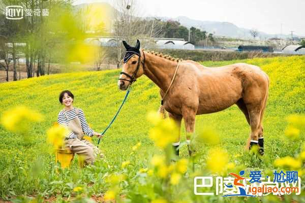 《油膩的Melo》鄭麗媛婚紗超美 油膩的浪漫好看嗎？？