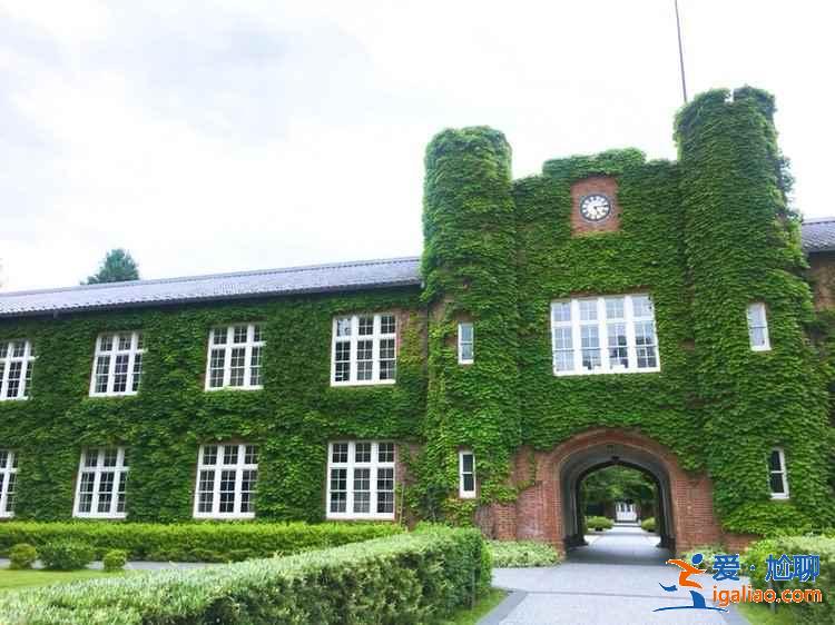 東京最美的大學在哪里，東京最美高校是哪所，東京最美大學攻略？
