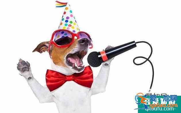 關于唱歌的技巧? 關于唱歌的技巧?