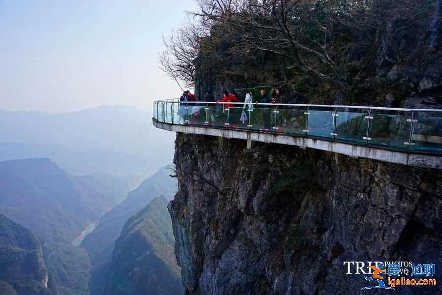 張家界適合踏青的地方，張家界踏青景點推薦，張家界踏青去哪好？