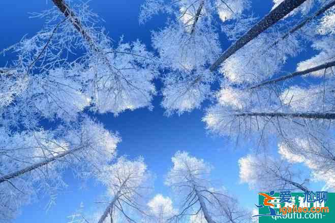 國內(nèi)冬天旅游推薦 國內(nèi)冬天去哪里比較好？