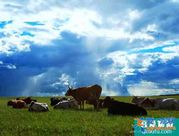 國內(nèi)冬天旅游推薦 國內(nèi)冬天去哪里比較好？