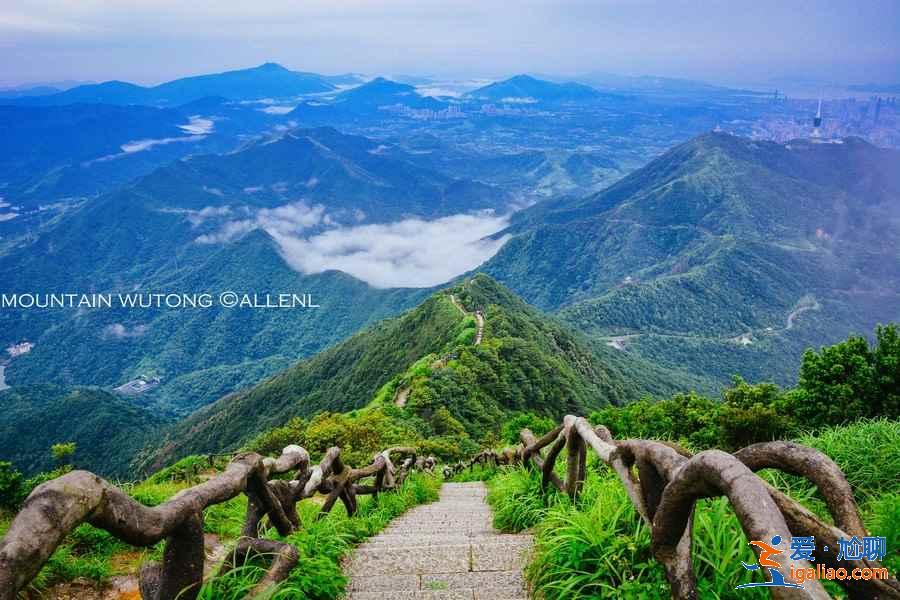 深圳梧桐山怎么玩，深圳梧桐山游玩路線，深圳梧桐山游玩攻略？