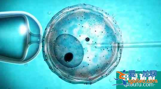 試管胚胎碎片能預防和降低嗎?? 試管胚胎碎片能預防和降低嗎??