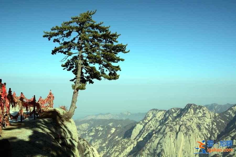 華山有什么好玩的？華山有什么景點？華山旅游攻略？