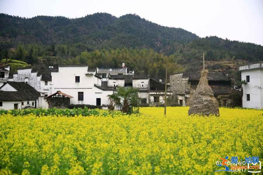 江西三日游怎么玩，江西三日游路線？