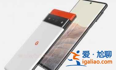 谷歌Pixel6Pro支持屏幕指紋么？