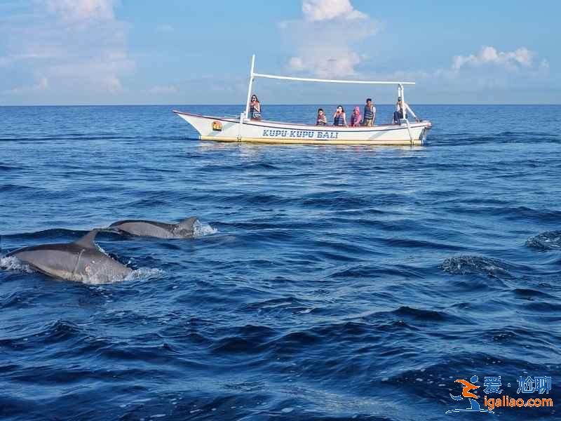 巴厘島親子游玩景點，巴厘島親子游怎么玩，巴厘島親子游攻略？