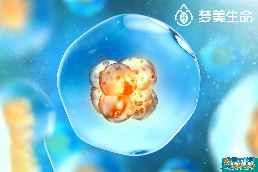 求子路遇到這三只“攔路虎”，試管嬰兒技術助你輕松解決！？
