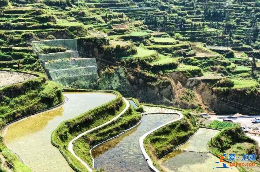 西江苗寨一日游怎么玩,西江苗寨一日游有哪些必游景點,西江苗寨一日游攻略? 西江苗寨一日游怎么玩,西江苗寨一日游有哪些必游景點,西江苗寨一日游攻略?